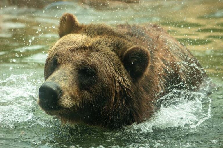 Ako použiť sprej