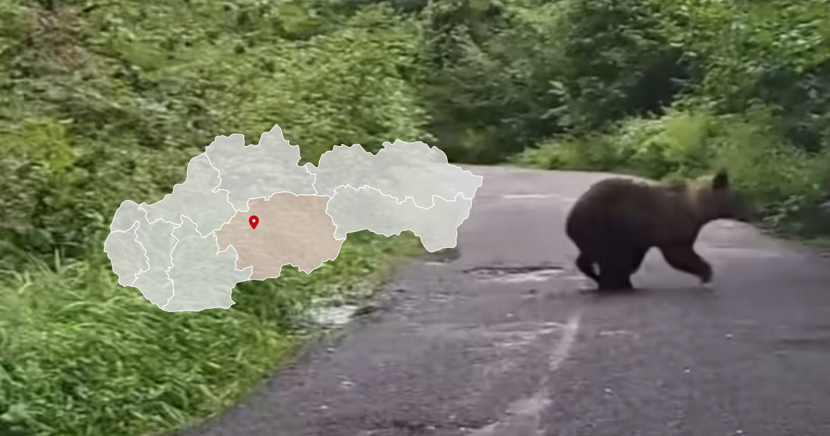 Medvede pri Zvolene v Bienskej doline