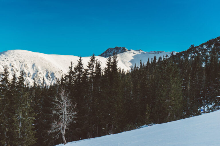 Nízke Tatry