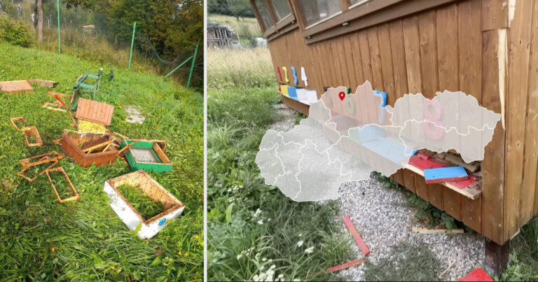 Škody na včelínoch v obci Povina v lokalite Tatarovci, ktoré spôsobil medveď