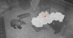 Ďalší medveď v obci Liptovské Revúce v nočných hodinách na dvore rodinného domu