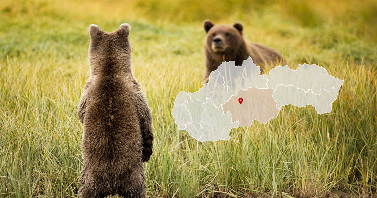 Medvede pri Zvolene v blízkosti sídliska Západ