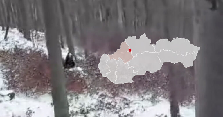 Poľovník postrelil medvedicu pri Kľačne